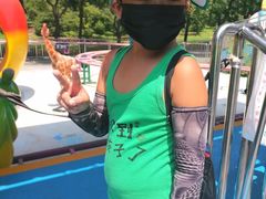 -朝阳公园游乐园