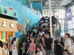 -海合安成都极地海洋公园