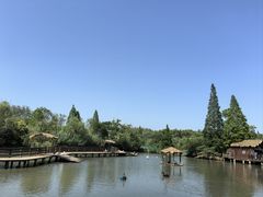 -溱湖国家湿地公园