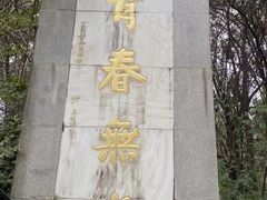 -东平国家森林公园
