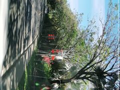 -三亚太阳湾柏悦酒店