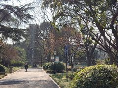 -圩墩遗址公园