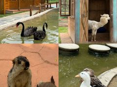 -南戴河国际娱乐中心