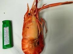 -七的湖·江南蟹舫·阳澄湖农家菜(蟹舫苑店)