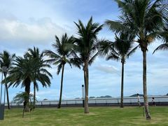 -野狸岛