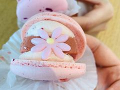 花花半熟马卡龙玫瑰双莓芝士口味-好利来(西铁营万达广场店)
