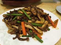 -联邦酒楼