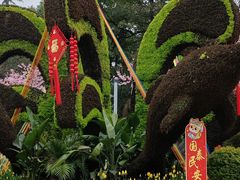 -南山植物园