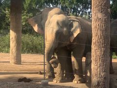 -清迈夜间动物园