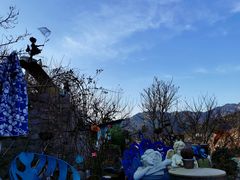 -荒度咖啡(北九水店)