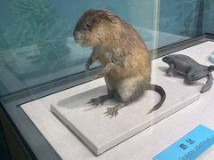 -国家自然博物馆