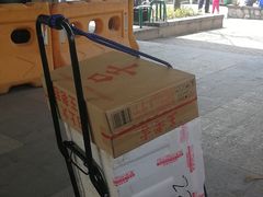 -吴淞炮台湾湿地森林公园烧烤区