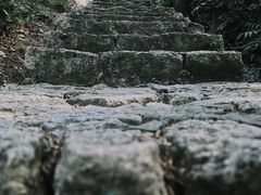-青芝山风景名胜区