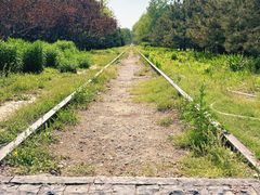 -永定河休闲森林公园