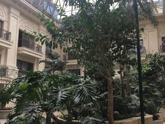 -大东方海鲜酒楼(小武基桥店)