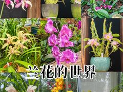 -国家植物园南园