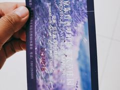 -北京东方普罗旺斯薰衣草庄园
