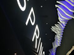 -春天国际影城(中庚漫游城杜比全景声店)