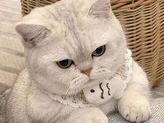 -邢老三肉丸糊辣汤·非遗美食(西安总店)