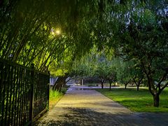 -北坞公园