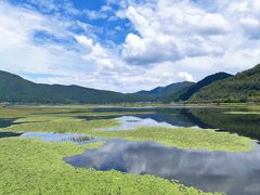 -腾冲北海湿地