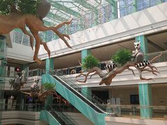 -大族广场Mall&More