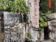 -广州市流溪河国家森林公园