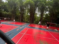 -晓港公园