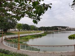 -仙湖旅游度假区