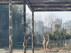 -宁波野生动物园