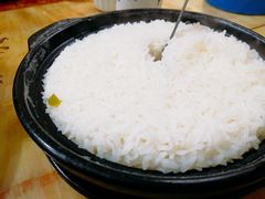 -煲来饱去冷水鱼