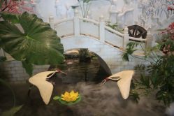 -成都世外桃源酒店-宴会厅·草坪婚礼·会议活动