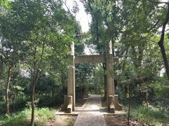 -上海佘山国家森林公园天马山园