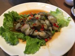 凉拌海参-渔家颂歌渔家味道(青石路店)