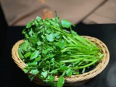 西洋菜-官也街澳门火锅(新源里店)