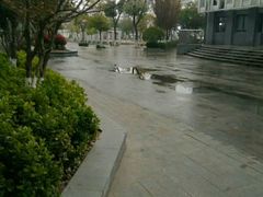 -锡师附小学(学前街校区)