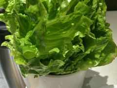 -古乐牛香·鲜牛肉牛杂火锅(新区店)