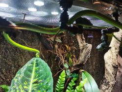 -酷嗒动物文化乐园(cutezoo西溪乐天城店)