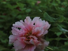 -苏州上方山国家森林公园