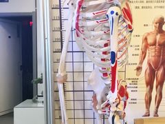 -席仁堂推拿按摩脊柱调理(世纪科贸大厦店)