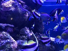 -成都浩海立方海洋公园