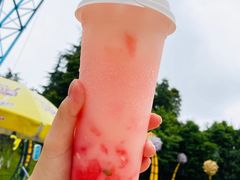 -国色天乡三期陆地乐园