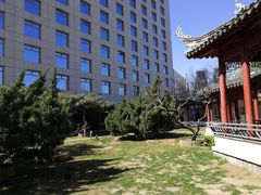 -亮马河饭店翠雅咖啡厅