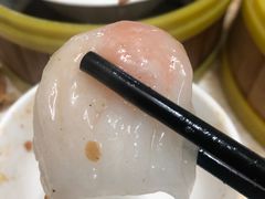 -肥佬夜茶(早茶·西乡店)