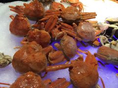 -甄品麦哲伦海鲜和牛自助(万达广场店)