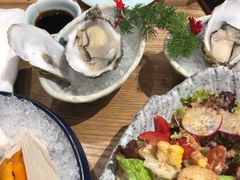 生蚝-渔藤(万柳东路店)