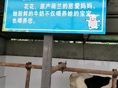 -洪湖家庭农场·团建·露营·会议
