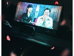 -枫花园汽车电影院(朝阳公园店)