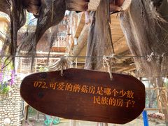 -呀路古热带植物园