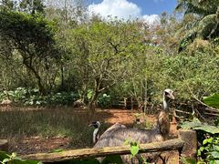 -海南热带野生动植物园